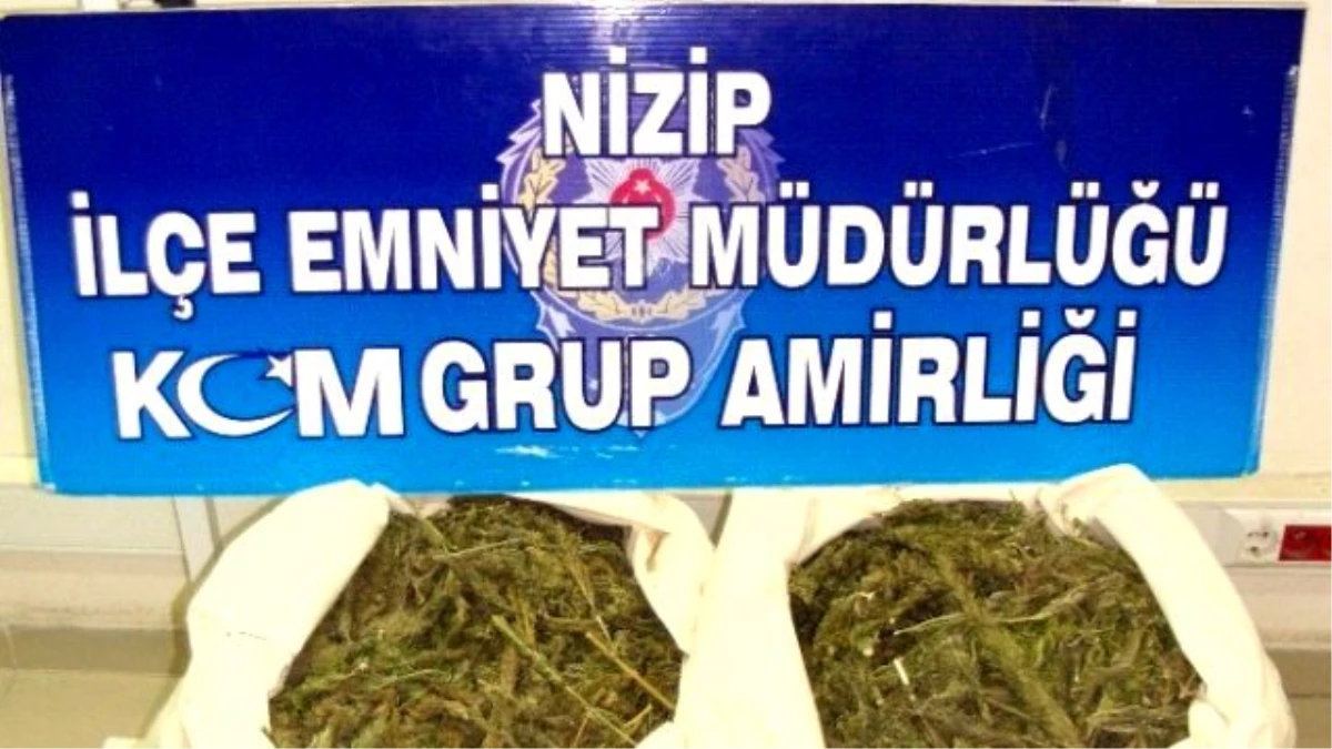 Nizip\'te 15 Kilo Esrar Ele Geçirildi