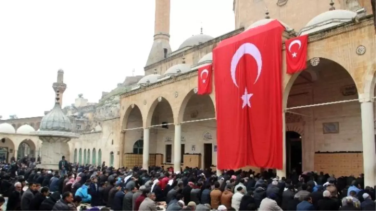 Urfa Şehidine Mevlit Okuttu