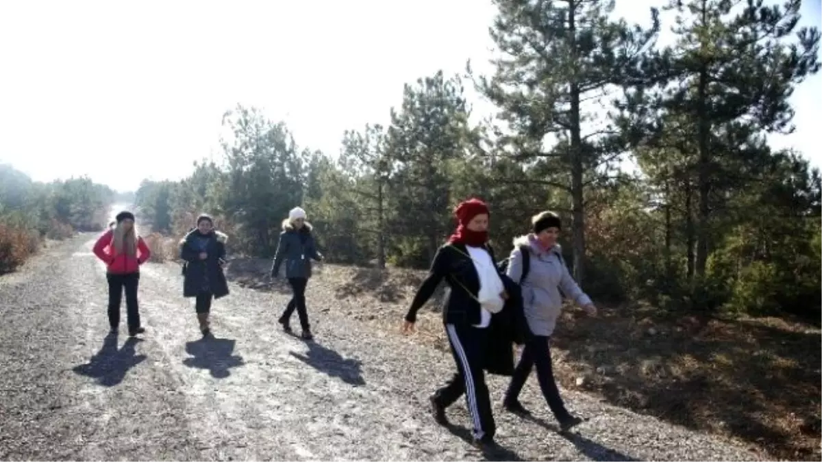 Halk Merkezi Kursiyerleri Doğa Yürüyüşünde Buluştu