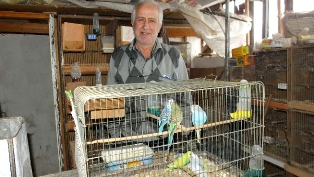 Burhaniyeli Marangozun Kuş Tutkusu