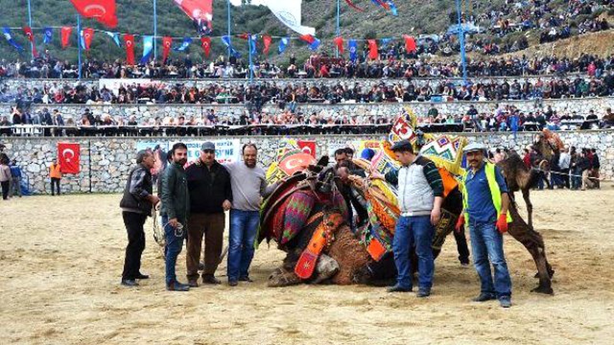 Develer, Spor Kulübü Yararına Güreşti