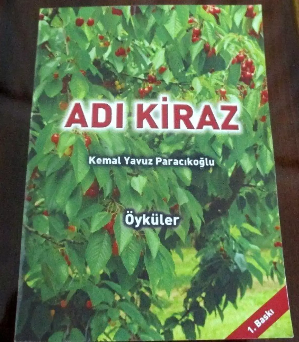 Dünya Öykü Günü\'nde "Adı Kiraz" Adlı Kitap Yayınlandı