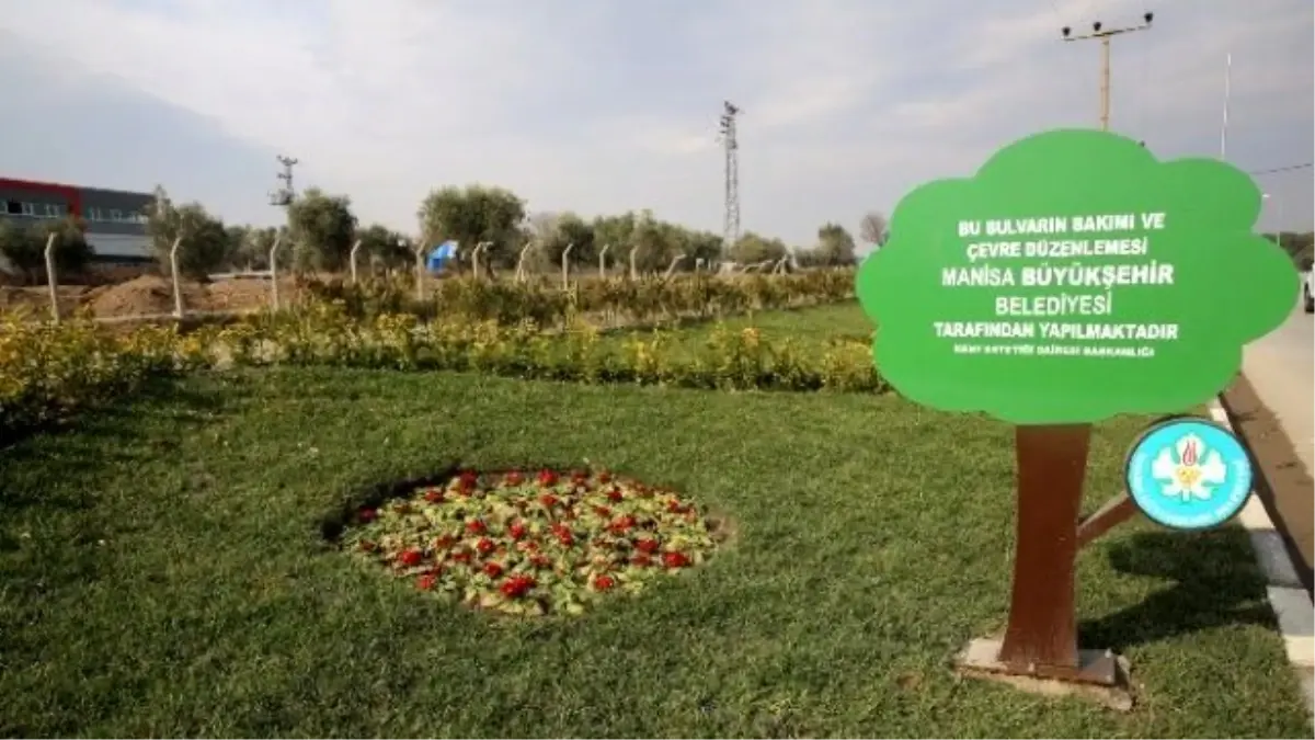 Manisa Büyükşehir Refüjleri Çiçeklerle Süsledi