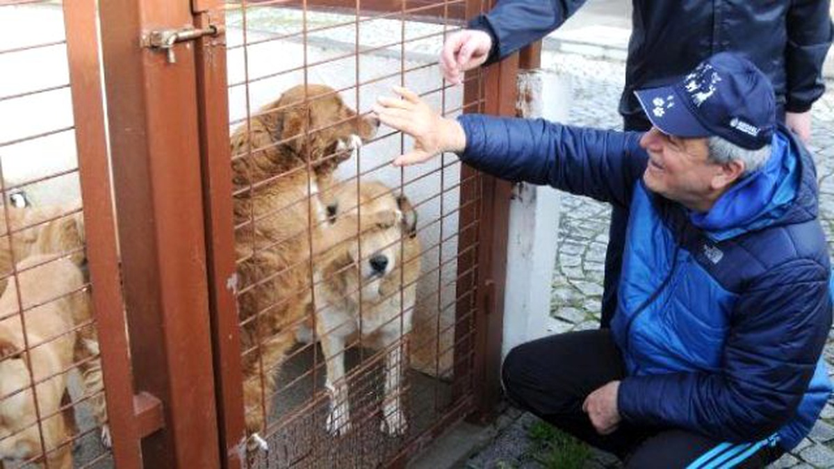 Başkan Karaosmanoğlu Köpeklerin Sahiplenilmesini İstedi