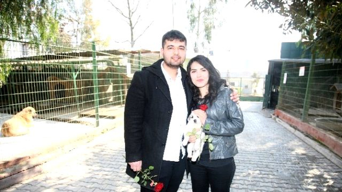 Sevgililer Günü\'nde, Sokak Hayvanı Sahiplendiler