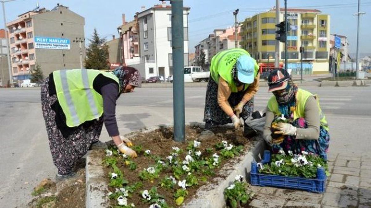 50 Bin Menekşe Toprakla Buluşuyor