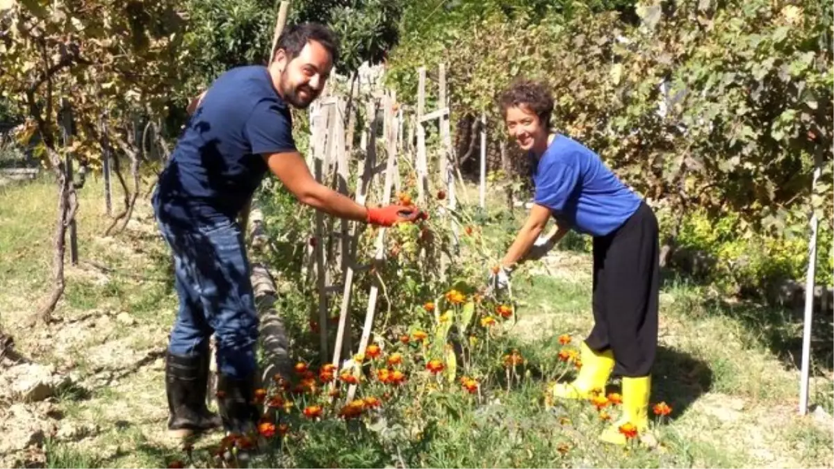 Avukatlık Pilotluk Yaparken İşi Bıraktılar, Şimdi Çiftçi Oldular