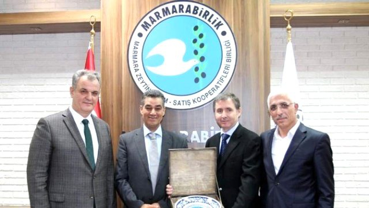 Marmarabirlik Doğal Zeytin Olgunlaştırma Tekniğini Dünyaya Anlatacak