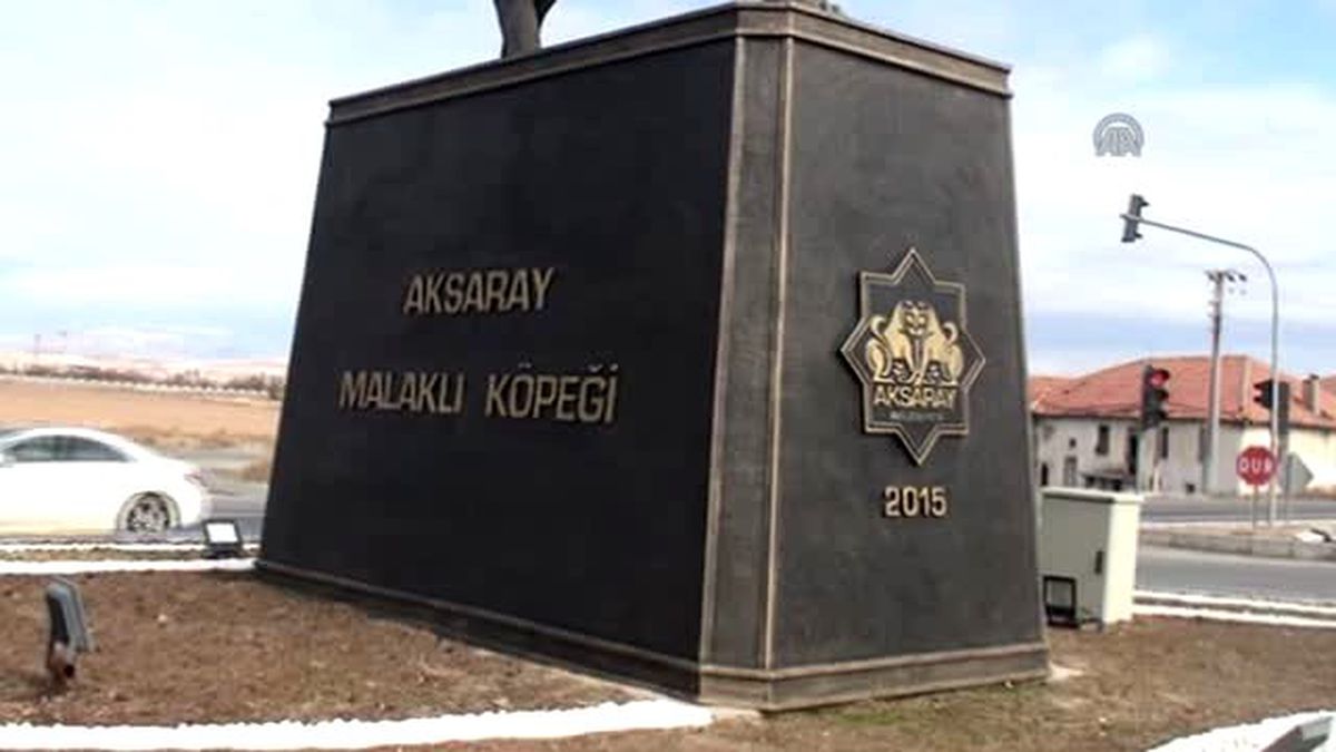 Aksaray Malaklısı' İçin Koruma Merkezi - Aksaray