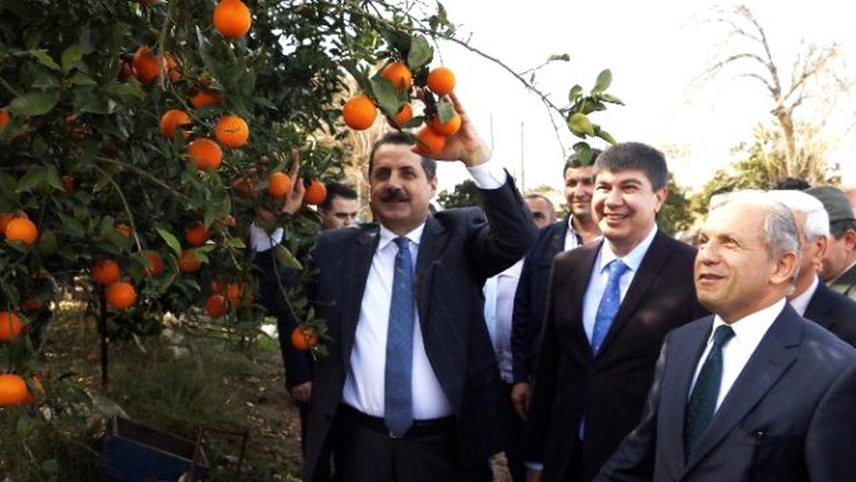 Bakan Çelik\'ten Et Fiyatları ve Cerattepe Açıklaması