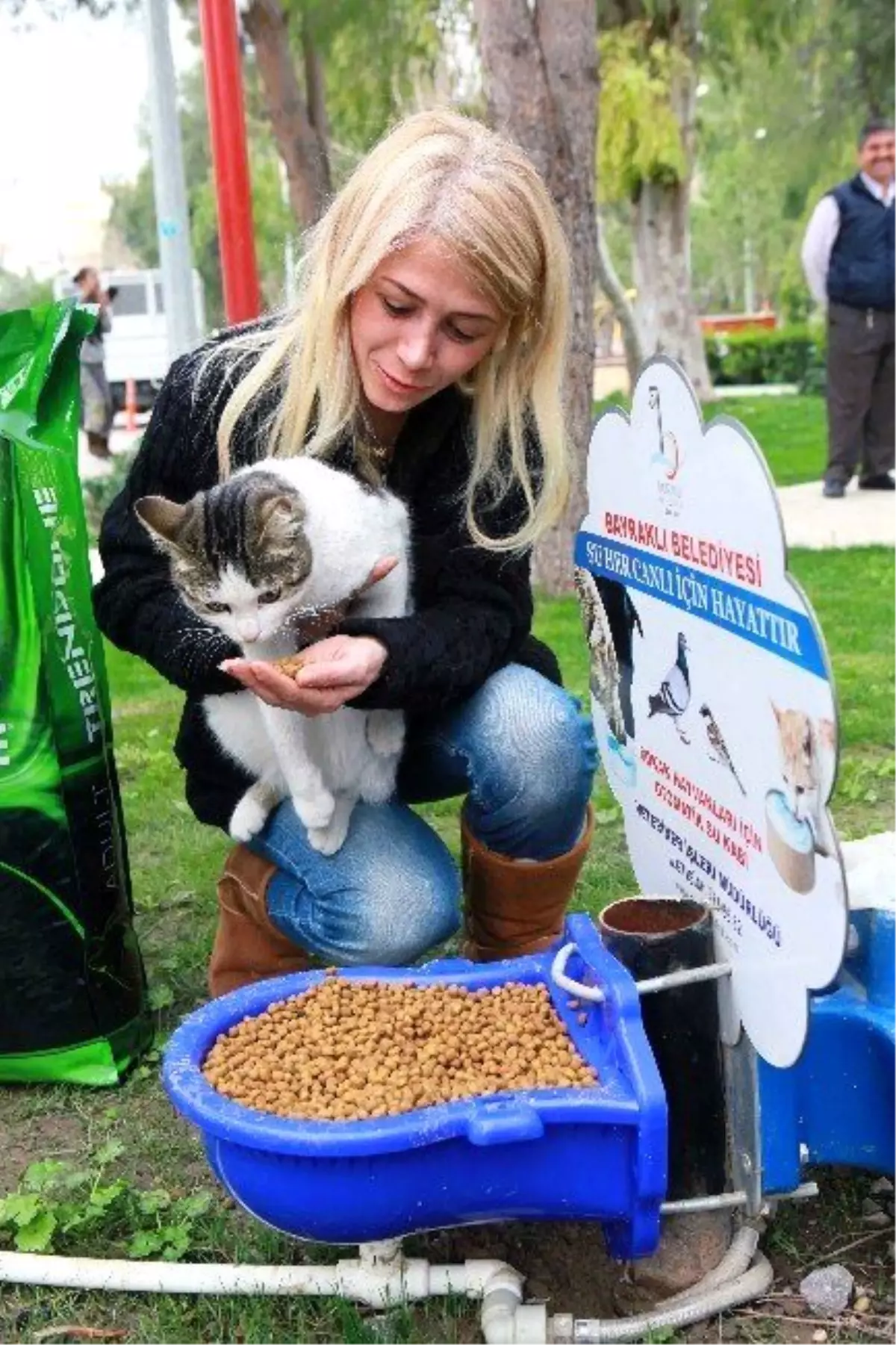 Bayraklı\'da Sokak Hayvanlarına Özel İlgi