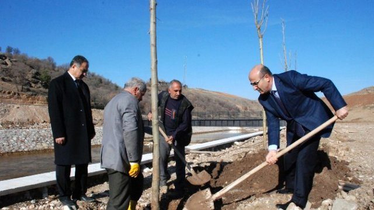 Beşpınar Farklı Ağaç Türleriyle Yeşillendiriliyor