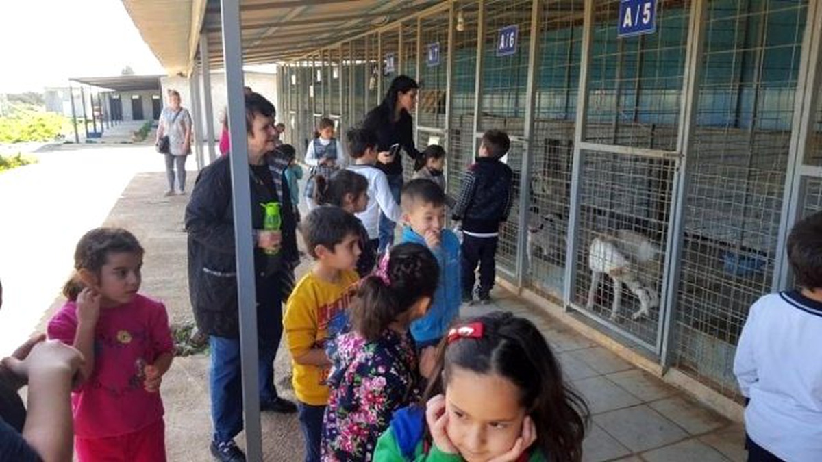 Didimli Miniklerden Barınağa Mama Bağışı