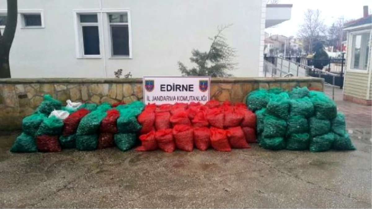 Edirne\'de 4 Ton Kaçak Midye Ele Geçirildi