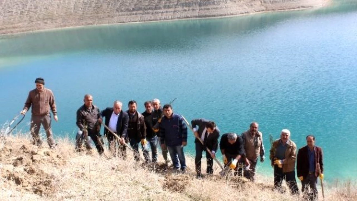 Samsat Belediyesi Ağaçlandırma Çalışmalarına Devam Ediyor