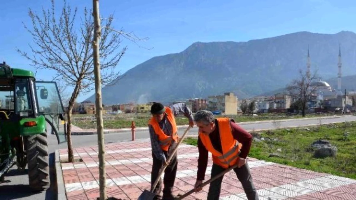Şehzadeler Belediyesi\'nden Ağaçlandırma Seferberliği