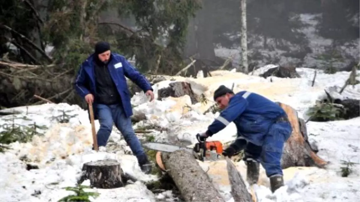 Cerattepe\'de Çevrecilere Coplu ve Gazlı Müdahaleden Sonra, Maden Şirketi İşe Başladı