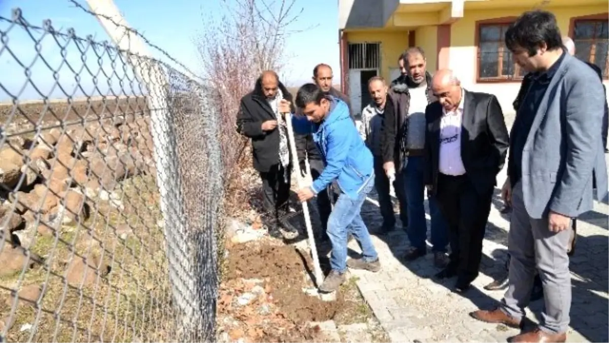 Meyve Fidanları Dağıtılmaya Başlandı