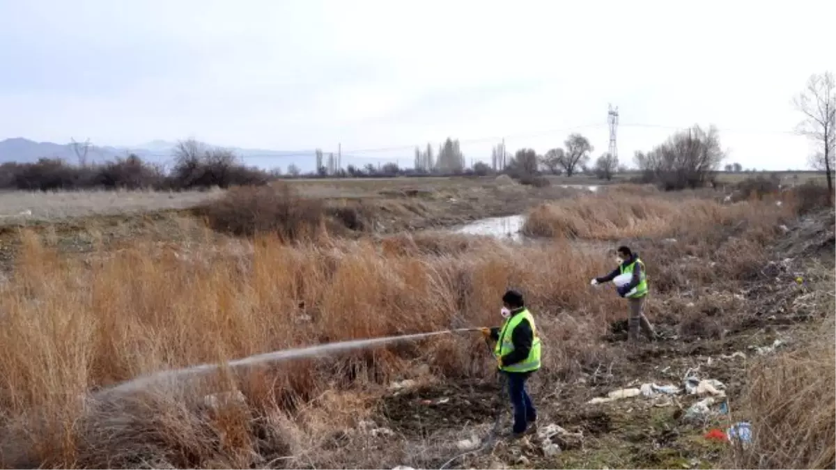 Seydişehir Belediyesi Haşere İle Mücadelede Gerekli Tedbirlerini Aldı