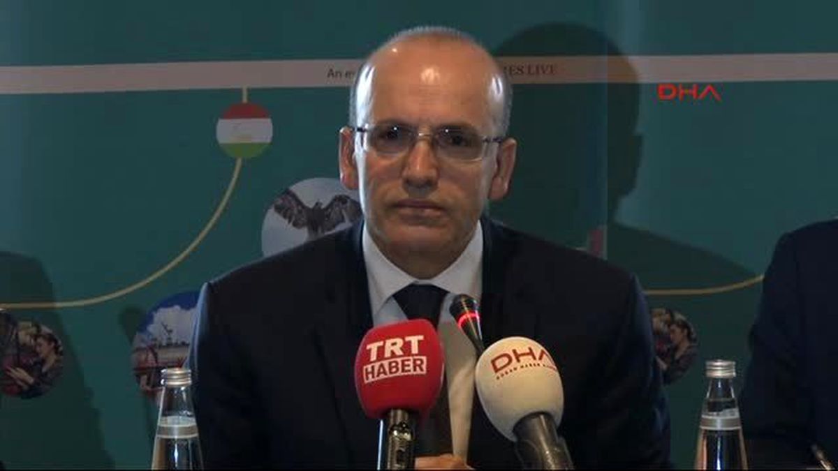 Şimşek: Bütün Dostlarımızın Samimi Bir Şekilde Teröre Karşı Tavır Koymasını Bekliyoruz