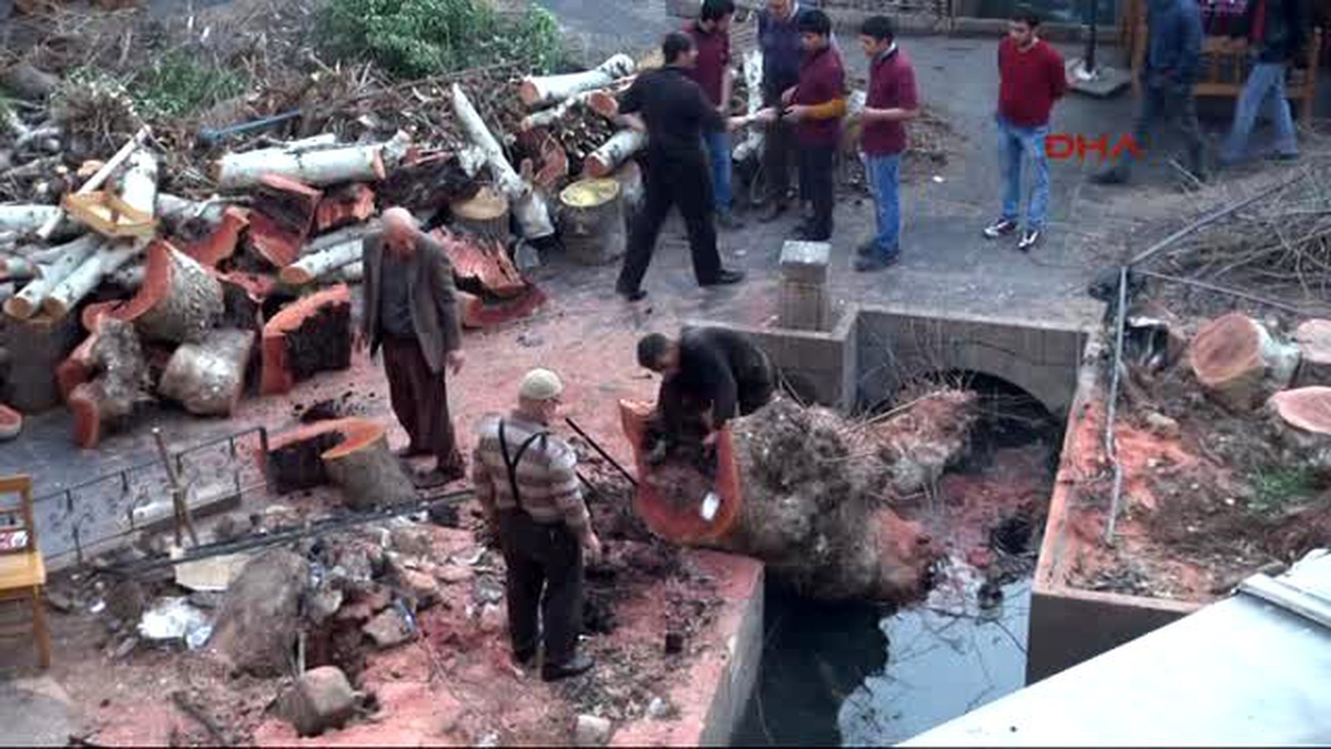 Şanlıurfa?da Tarihi Handaki Ağaçlar Kesildi