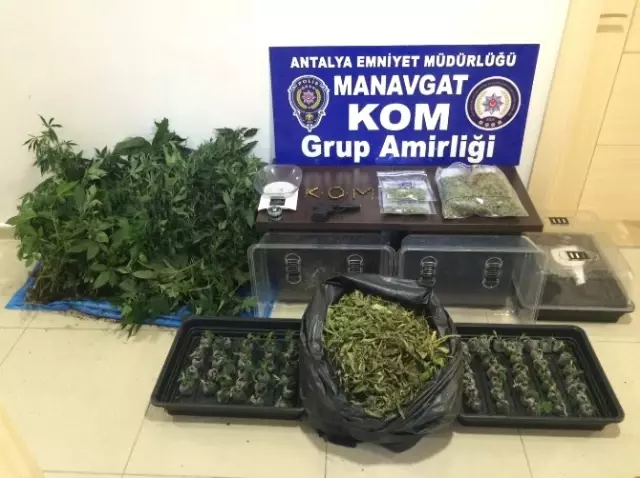 Seraya Çevrilmiş Evin Odasında Kenevir Üretimi Son Dakika