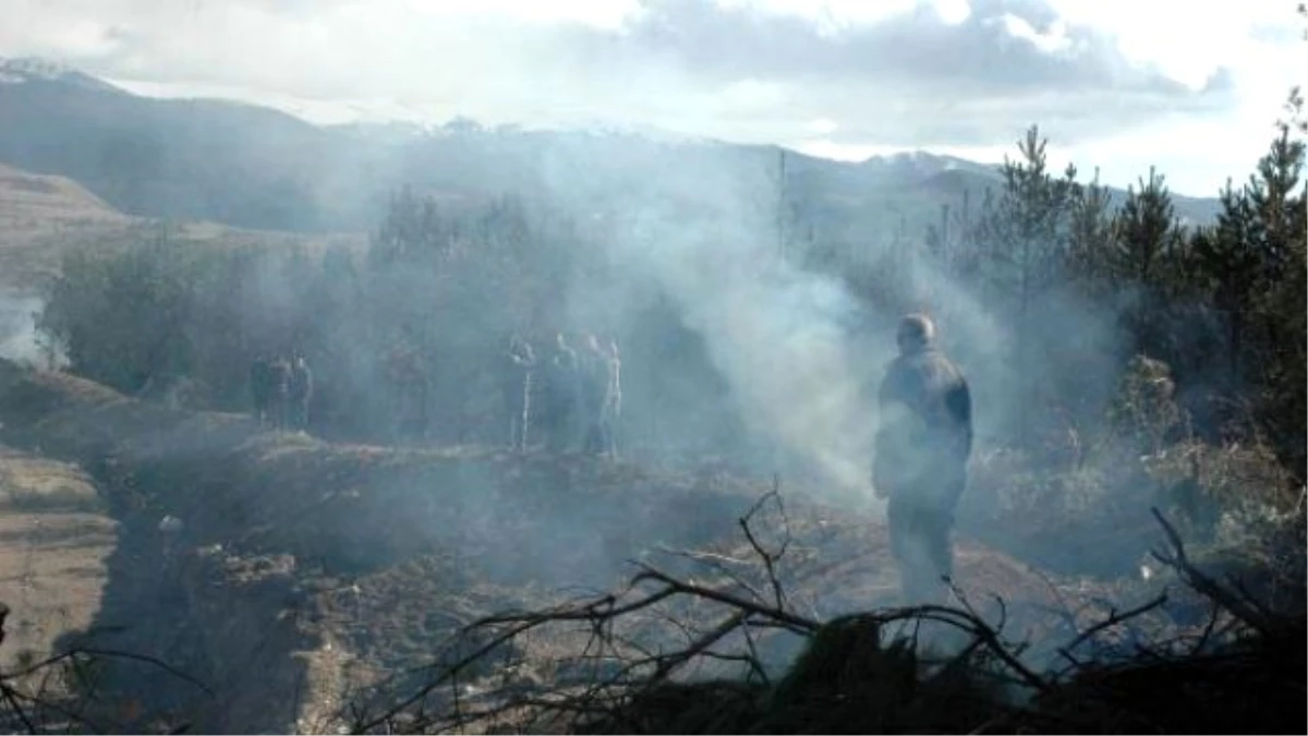 Türkiye-Gürcistan Sınırında Yangın