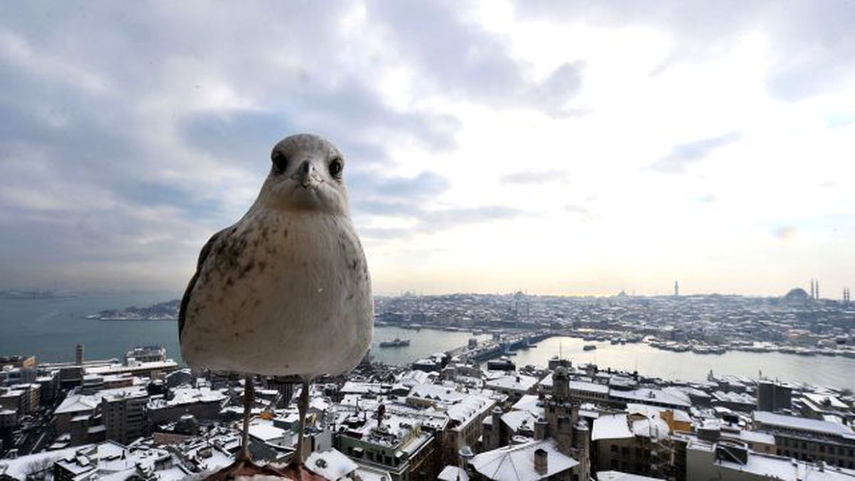 Yalancı Bahar Bitti! Kış Geri Geliyor