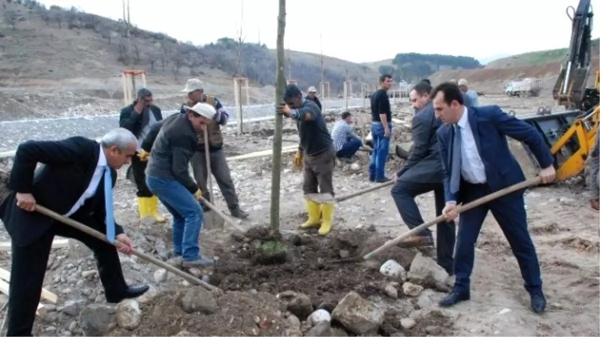 Beşpınar Vadisinde Ağaçlandırma Çalışmaları Devam Ediyor