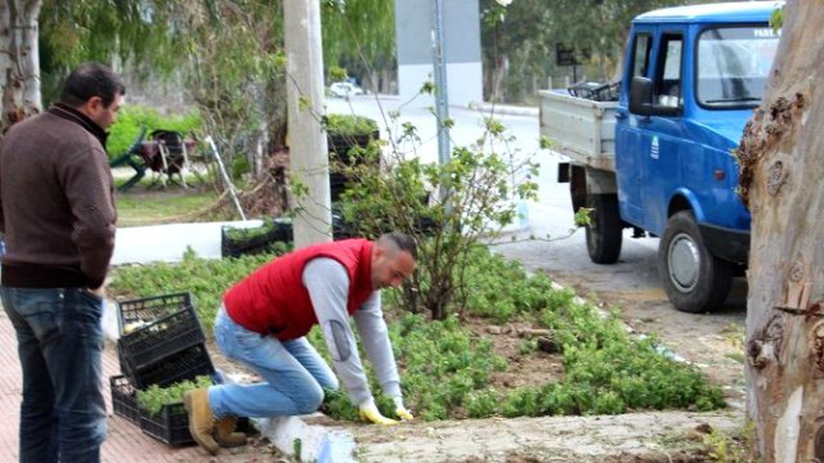 Foça Yaza Hazırlanıyor
