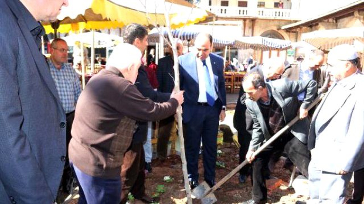Şanlıurfa\'da Tarihi Handa Kesilen Ağaçların Yerine Fidan Dikildi