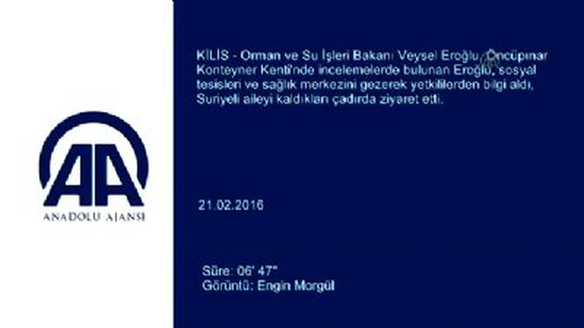 Bakan Eroğlu: Artvin'de Ağaç Kesen Eylemciler Cezalandırılacak