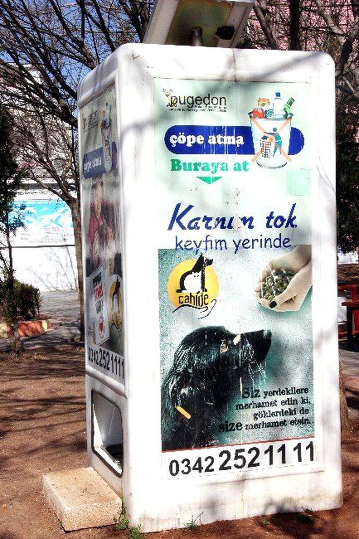 Bu Proje Sokak Hayvanlarına Can Simidi Olacak
