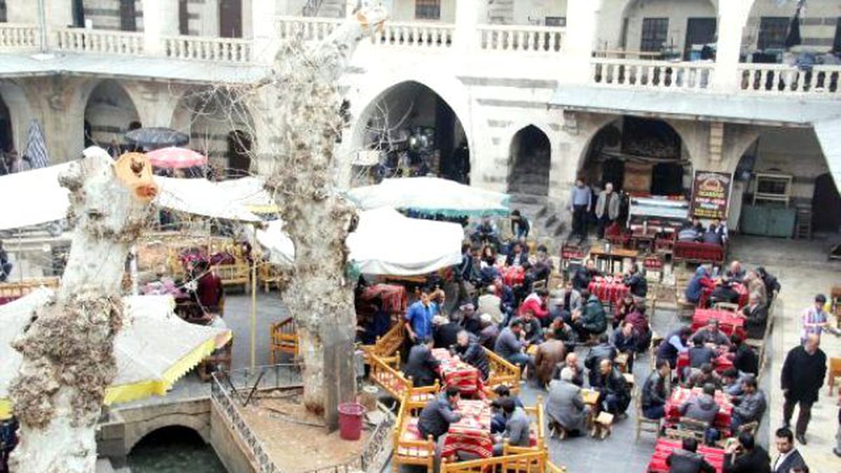 Şanlıurfa\'da Tarihi Handa Ağaçların Kesilmesine Tepki