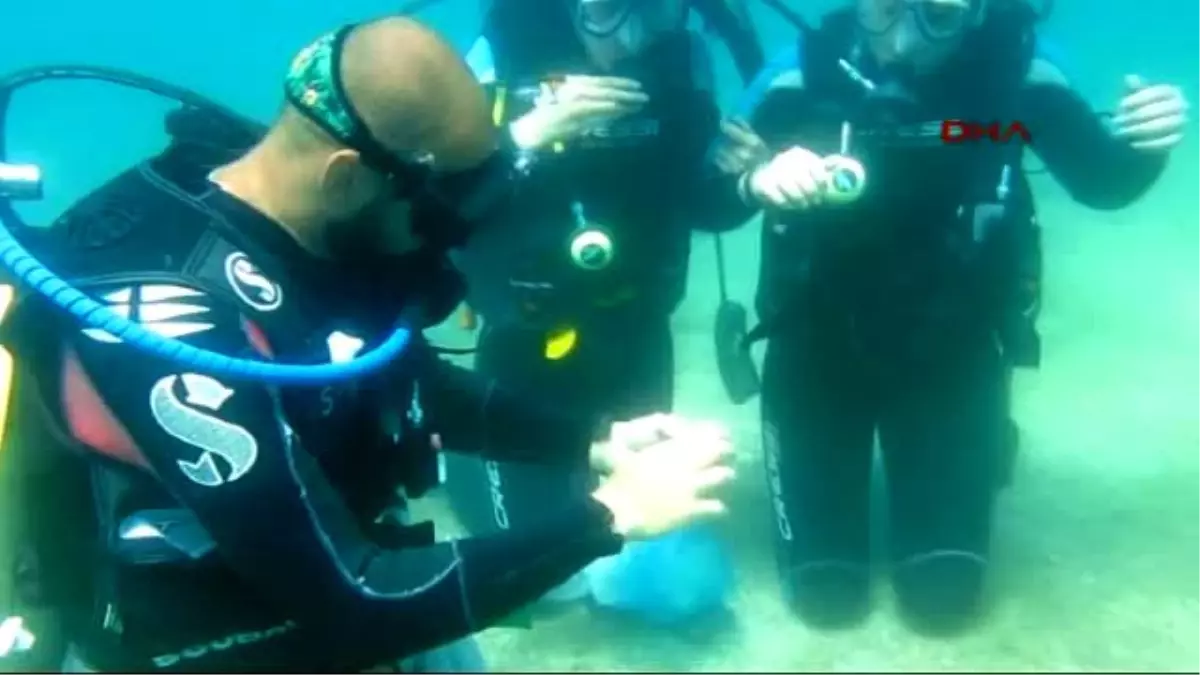 Dalgıçlar, Deniz Dibinde Pişti Oynadı