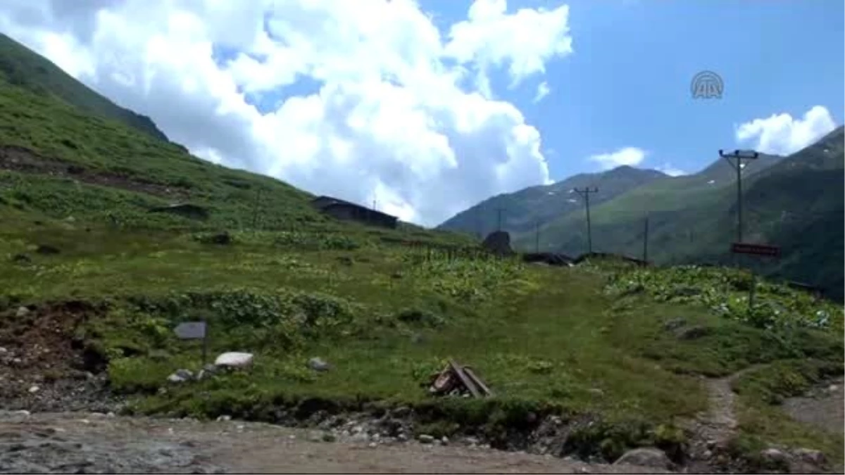 Karadeniz\'in İlçeleri Eko Turizme Açılıyor