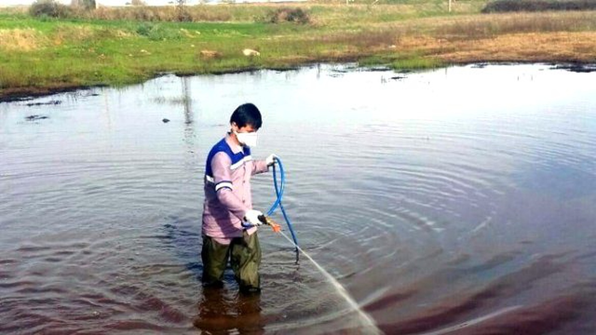 Manavgat\'ta Sineklere Geçit Yok