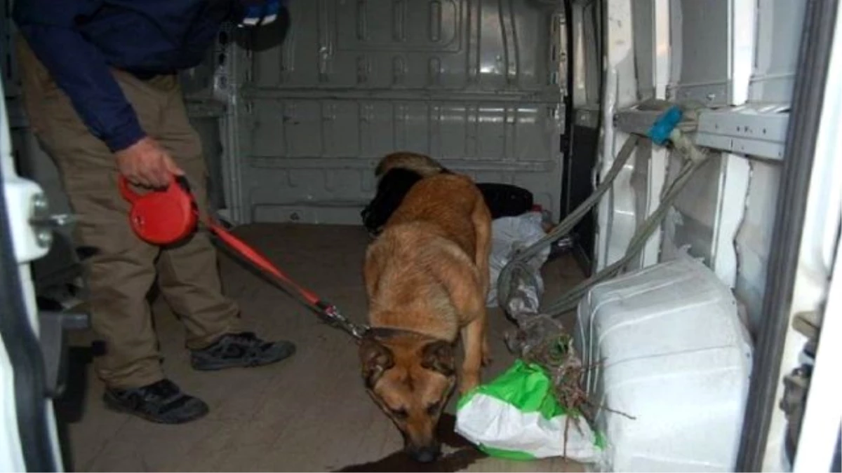 Polis Bomba Dedektör Köpekleriyle Feribot İskelesine Gelen Araçları Kontrol Etti