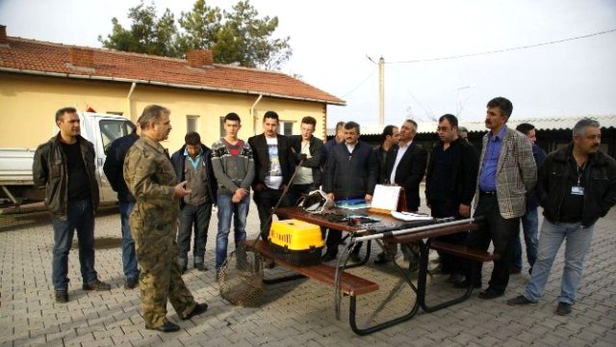 Barınak Personelleri Diplomalı Olacak