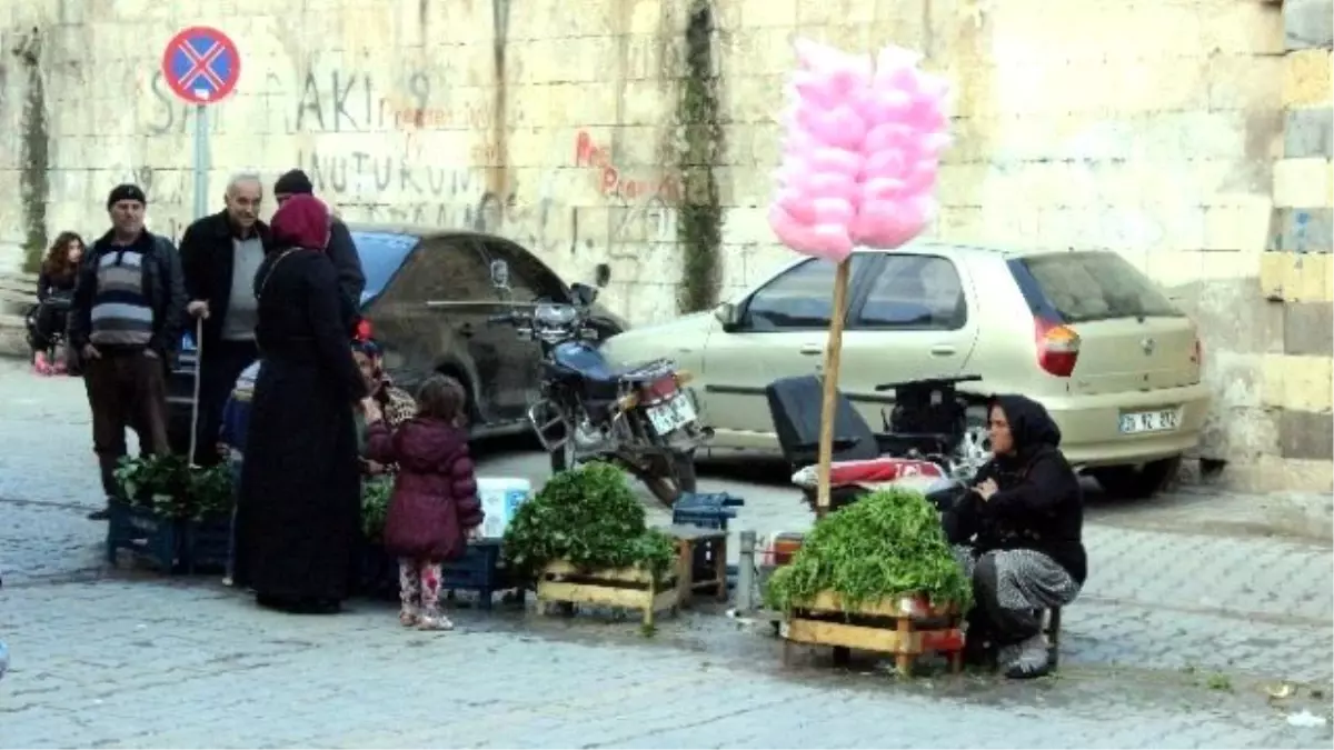 Doğal Olarak Yetişen Yabani Otlara İlgi