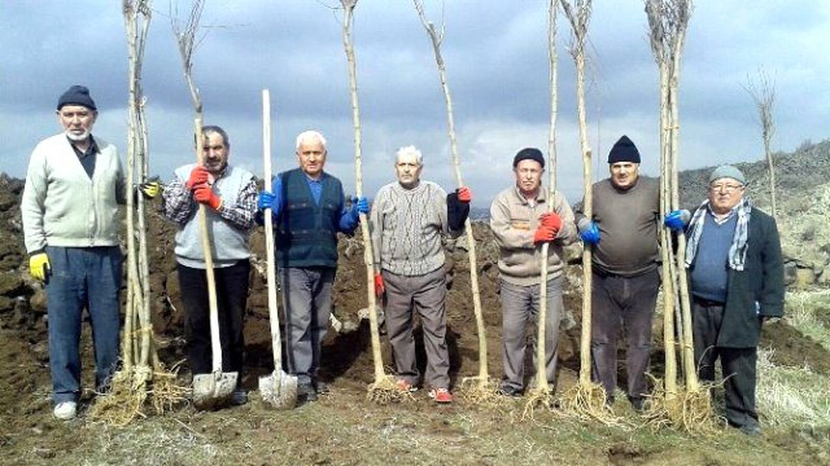 İncesu İlçesine Bağlı Subaşı Mahallesi Yeşilleniyor