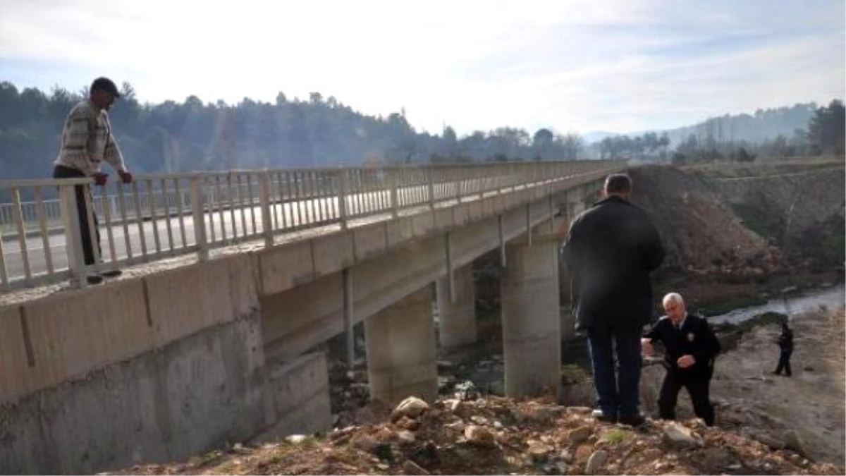 Köprüden Uçan Otomobilin Sürücüsünü Emniyet Kemeri Kurtardı