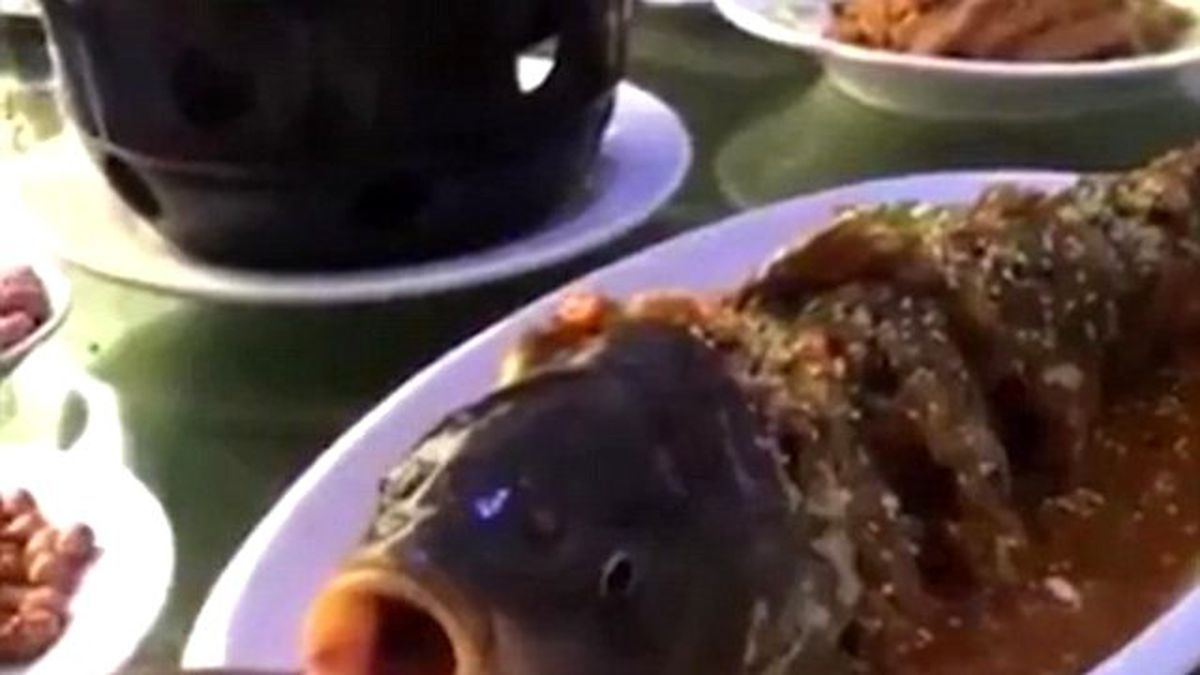 Pişirilip Servis Edilen Balık Masada Canlandı