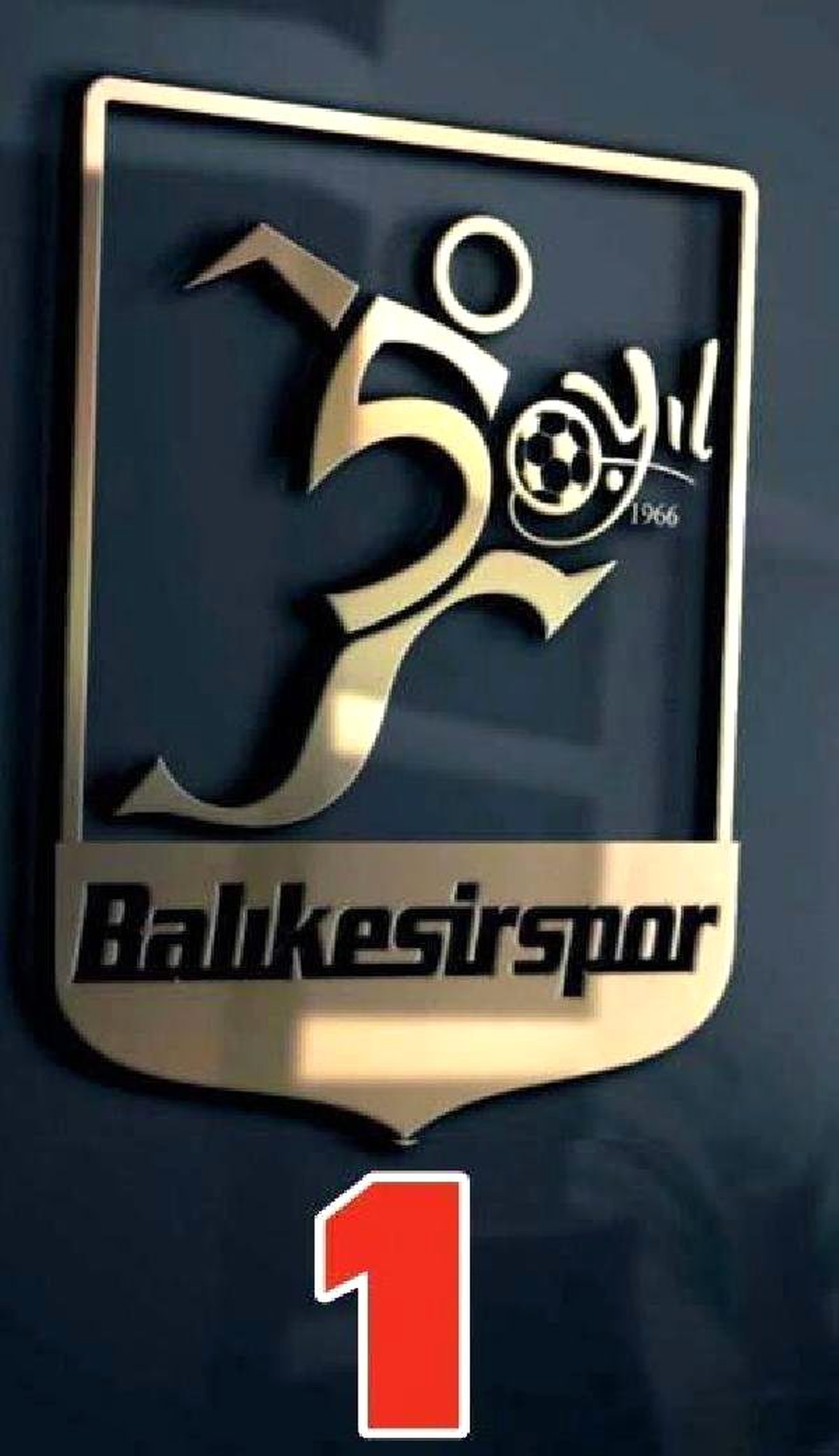 Balıkesirspor Yönetimi 50. Yıl Logosundan Vazgeçti