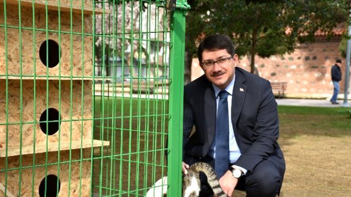Bu İlçede Sokak Hayvanları Koruma Altında