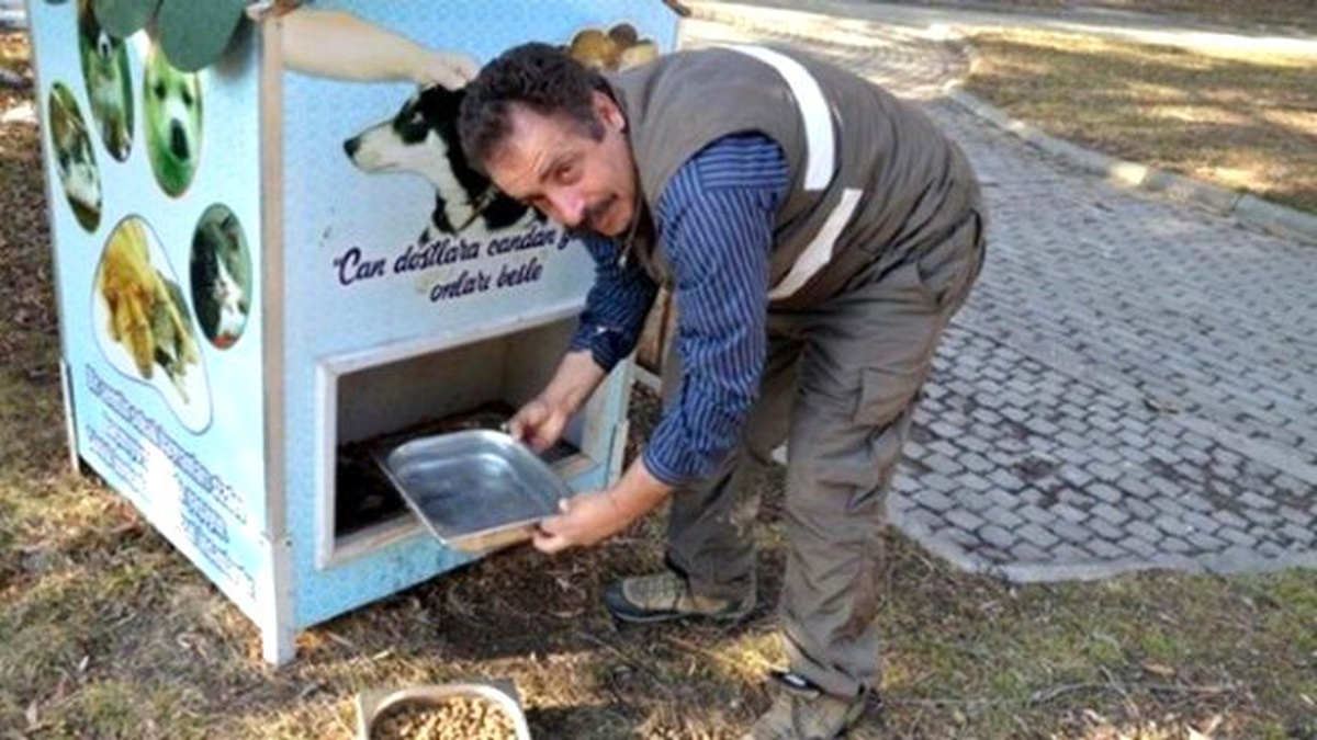 Erzincan\'da Sokak Hayvanlarına Su ve Mama Bırakıldı