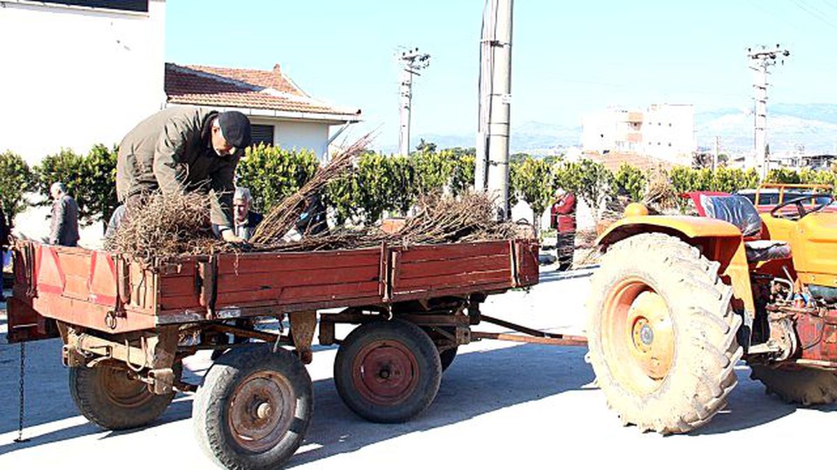 Fidan Desteği Devam Ediyor