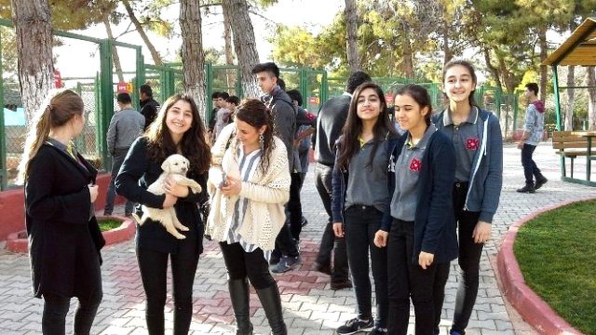 Gaziantep\'te Kuşların Yuvalarını Öğrenciler Yapıyor