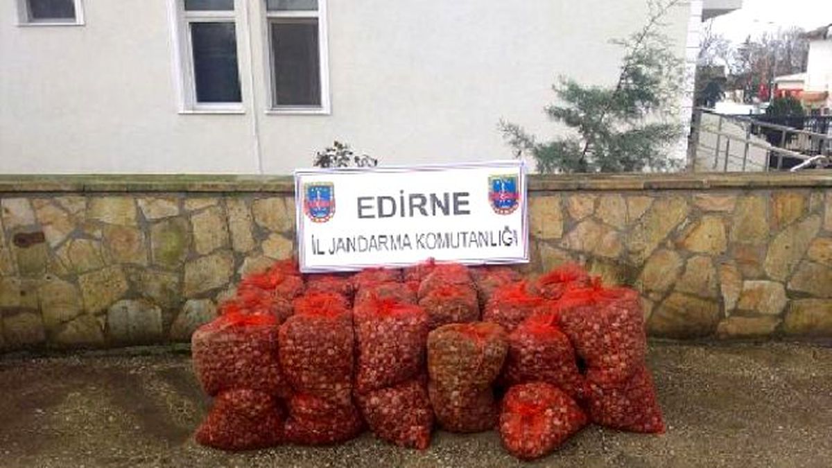 Kaçak Midyeleri Denize Dökmek İsterken Suçüstü Yakalandı
