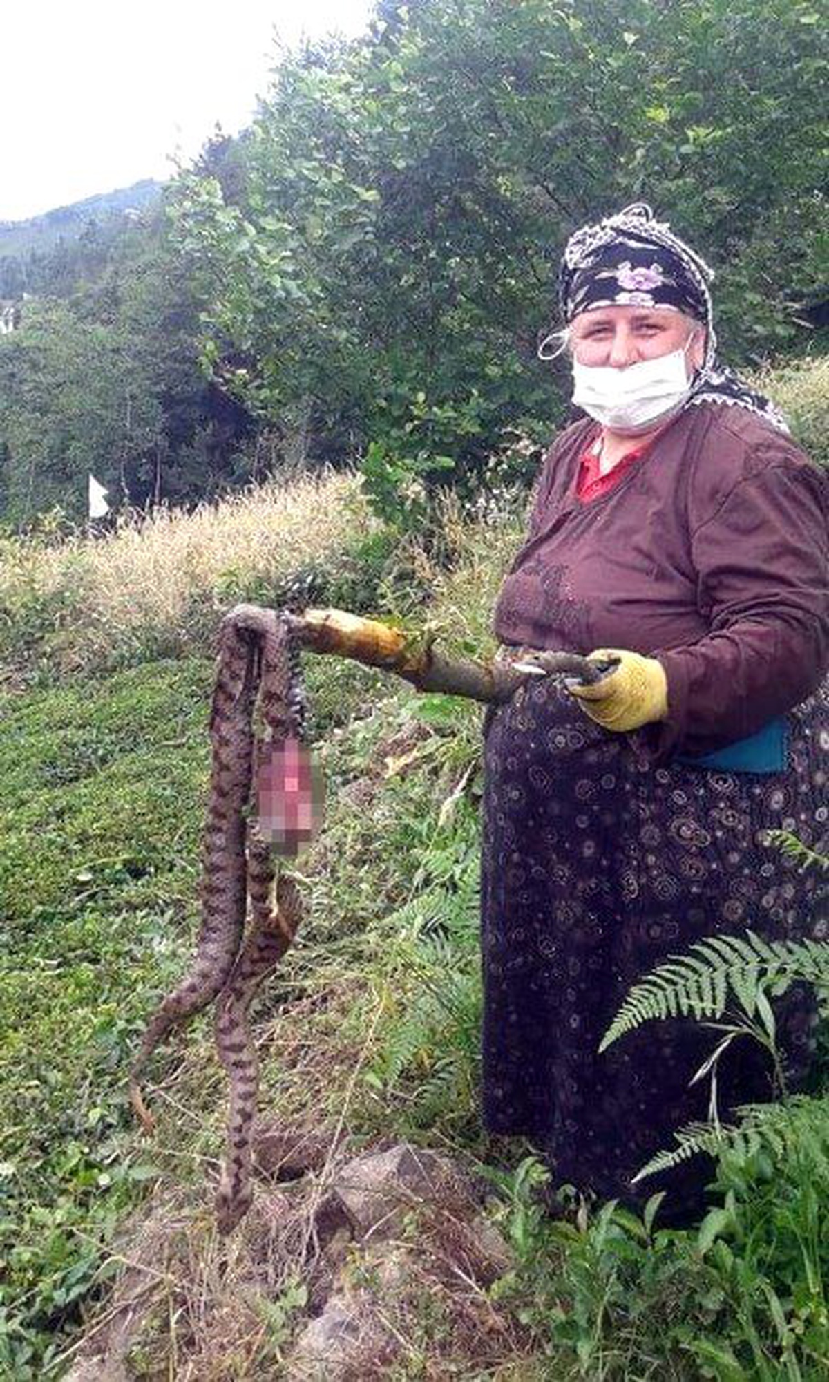 Köye Korku Salan Yılanı Bulup Öldürdü